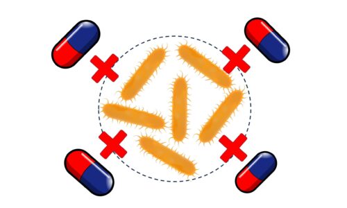 Molecular Basis of Anti-Microbial Resistance (AMR)