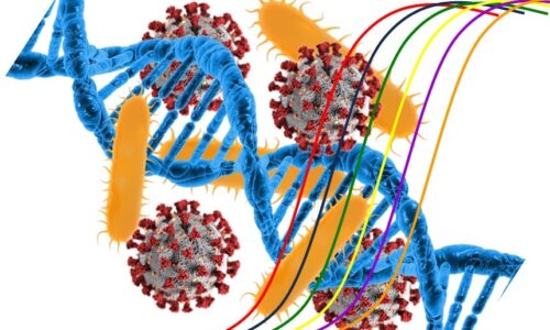 Molecular Diagnostics 1: Infectious Diseases