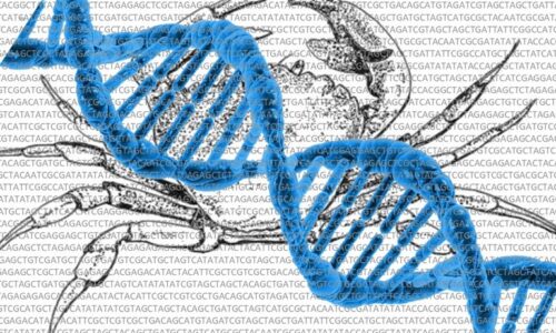 Molecular Diagnostics 2: Genetic Testing and Oncology