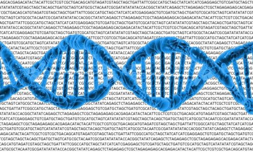 Next Generation Sequencing (NGS) – From basics to advance